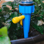 Sistem kap po kap za zalivanje cveća